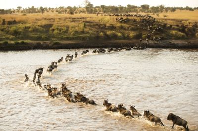 氛圍圖.jpg